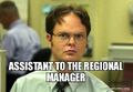 Assistant-to-the-regional-mgr.jpg